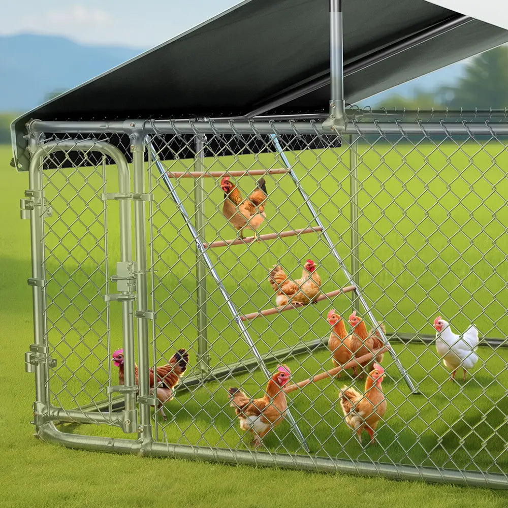 PAWGIANT Chicken Roosting Bars, 56''L X 42''W, Suitable for Backyard Farm, Chicken Perches Activity Play, Wooden Chicken Ladder, Chicken Toys Easy to Assemble & Clean, Enhancing Coop Comfort, Summervibes