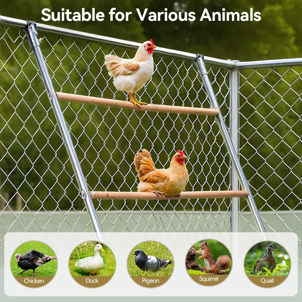PAWGIANT Chicken Roosting Bars, 56''L X 42''W, Suitable for Backyard Farm, Chicken Perches Activity Play, Wooden Chicken Ladder, Chicken Toys Easy to Assemble & Clean, Enhancing Coop Comfort, Summervibes