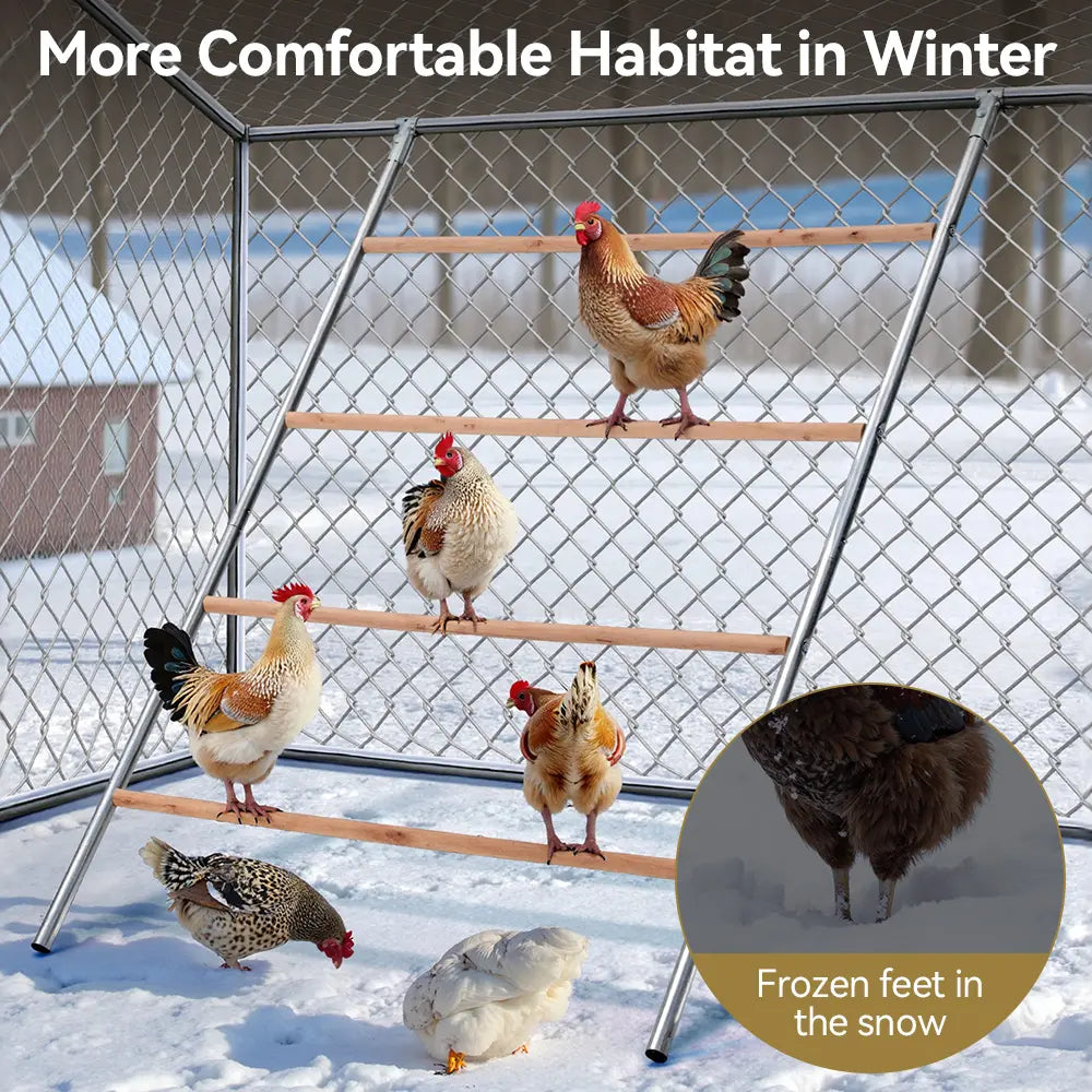 PAWGIANT Chicken Roosting Bars, 56''L X 42''W, Suitable for Backyard Farm, Chicken Perches Activity Play, Wooden Chicken Ladder, Chicken Toys Easy to Assemble & Clean, Enhancing Coop Comfort, Summervibes