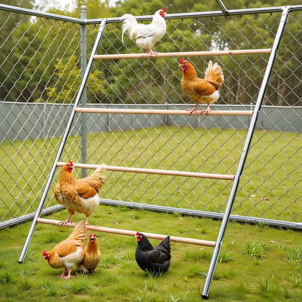 PAWGIANT Chicken Roosting Bars, 56''L X 42''W, Suitable for Backyard Farm, Chicken Perches Activity Play, Wooden Chicken Ladder, Chicken Toys Easy to Assemble & Clean, Enhancing Coop Comfort, Summervibes
